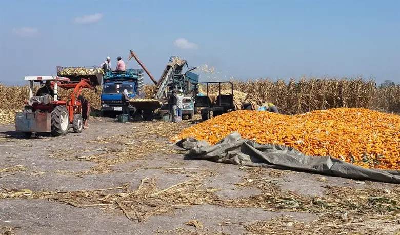 บริษัทกรุงเทพโปรดิ๊วส จำกัด (มหาชน) ซึ่งเ...