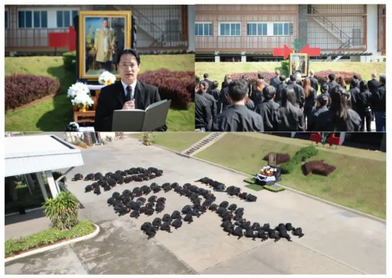 บริษัท อีสท์ เวสท์ ซีด ผู้นำด้านการผลิตเม...