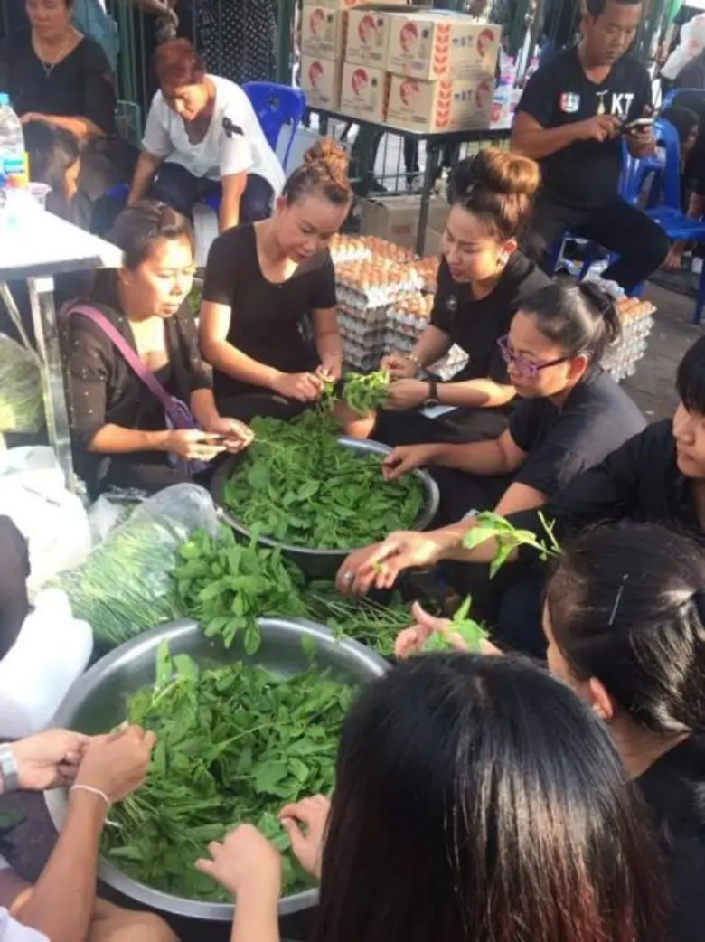 สามัคคีเอื้อเฟื้อ อาร์เอส-ช่อง 8 ส่ง “มด-แบล็คแจ็ค-กรีน-ลาล่า-ลูลู่” ร่วมทำความดีถวายให้พ่อหลวง