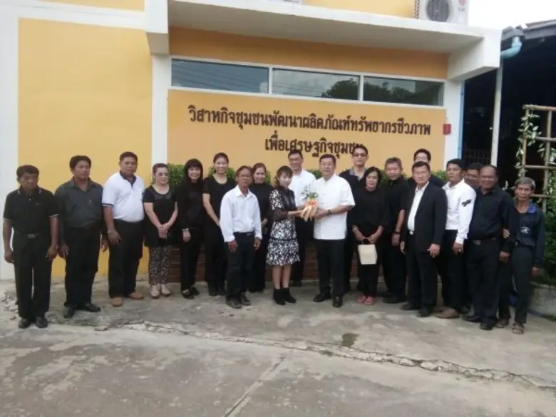 "จากส้มซ่าทีมีอยู่เพียงต้นเดียวในหมู่บ้าน...