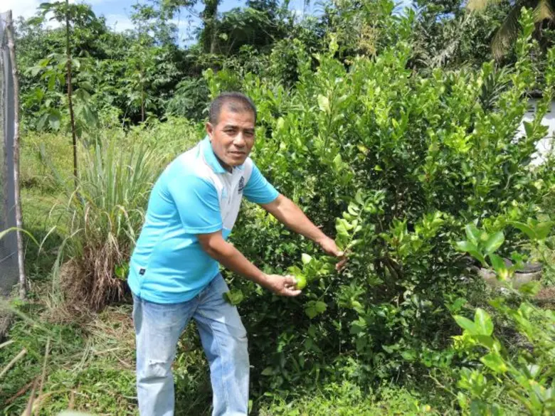 พลิกวิถีชีวิตคนคลองชีล้อม สู้ศึก! สถานการณ์ยางราคาดิ่ง ปรับตัวเป็นเกษตรกรพึ่งตนเอง ใช้ฐานเศรษฐกิจพอเพียง หวังเป็นครัวของคนตรังในอนาคต