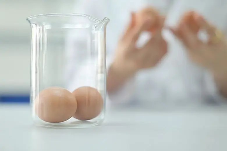 กินไข่ทุกวัน กินไข่ทุกวัย กินอะไรใส่ไข่ด้วย