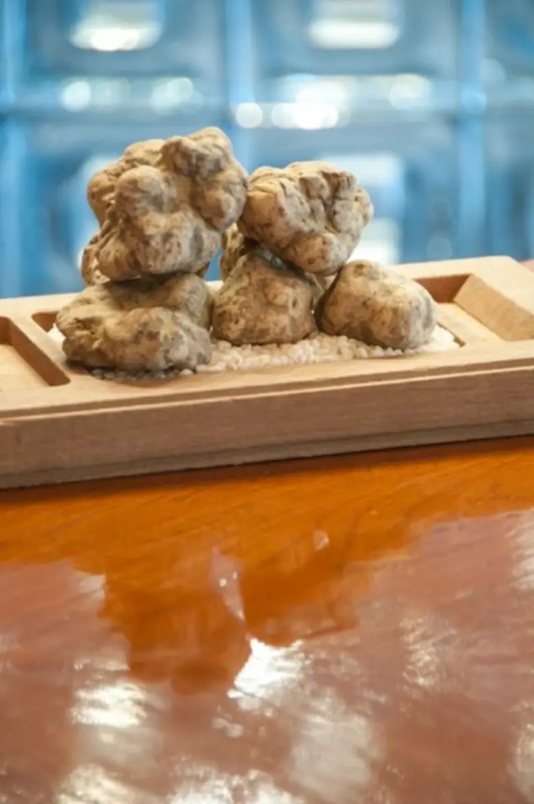 The Taste of Magnificent White Alba Truffles at La Scala, The Sukhothai Bangkok November 2016