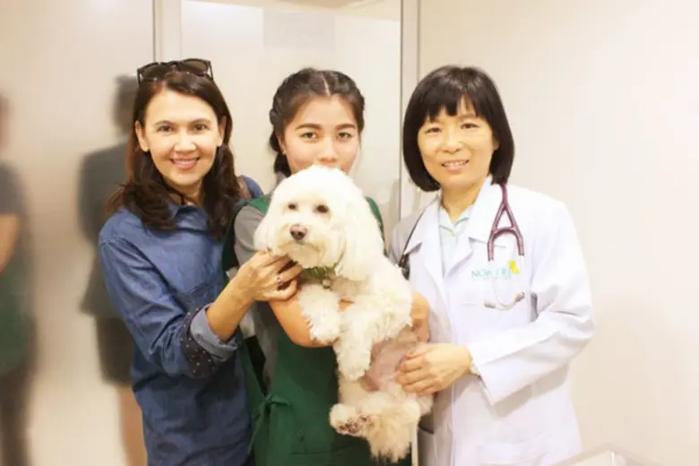 การวินิจฉัยโรคหัวใจในสัตว์เลี้ยง‬ 1. เจ้า...