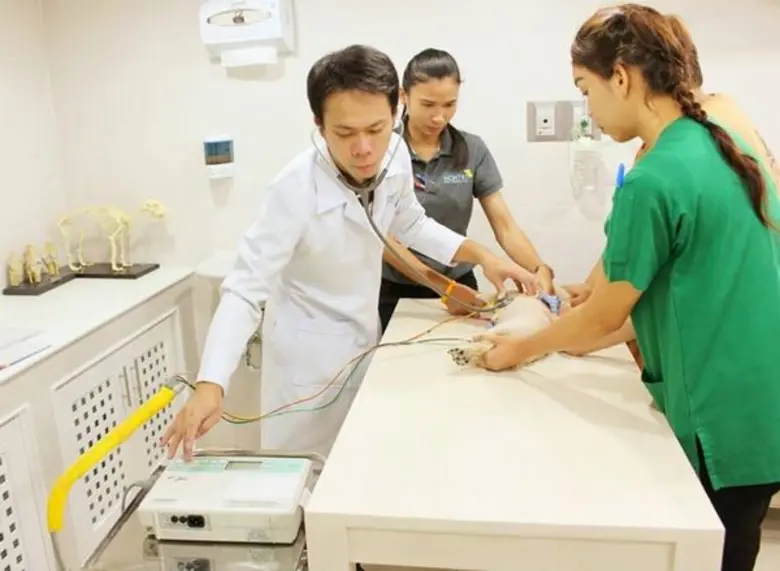 การดูแลสุนัขที่ป่วยด้วยโรคหัวใจ‬ 1. ผู้เล...