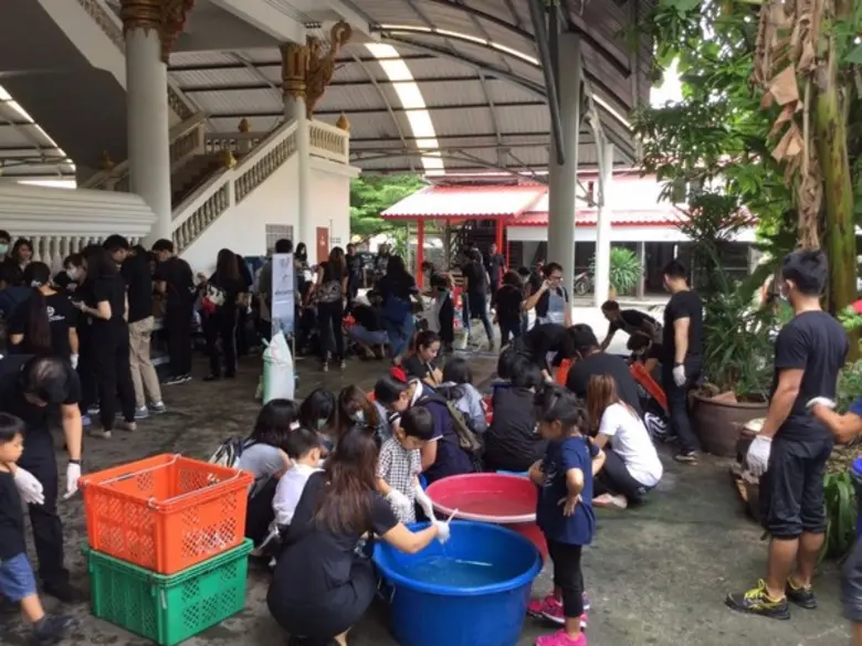 เมอร์คจัดกิจกรรมวิ่งการกุศลเพื่อนำรายได้ไปสมทบทุน “โครงการคืนชีวิตเต่าและตะพาบน้ำสู่ธรรมชาติ”