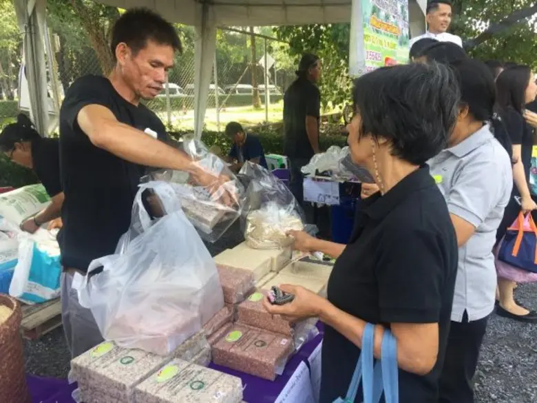 มธ. เปิดพื้นที่นำร่องให้ชาวนาเครือข่ายขายข้าวตรงสู่ผู้บริโภค พร้อมชี้ไทยขาดการสร้างมูลค่าเพิ่ม และ การบริหารจัดการที่มีประสิทธิภาพ