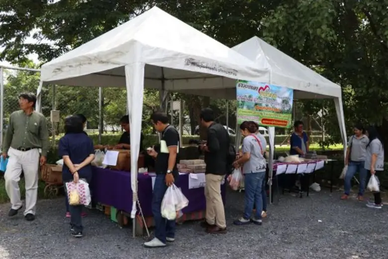 มธ. เปิดพื้นที่นำร่องให้ชาวนาเครือข่ายขายข้าวตรงสู่ผู้บริโภค พร้อมชี้ไทยขาดการสร้างมูลค่าเพิ่ม และ การบริหารจัดการที่มีประสิทธิภาพ