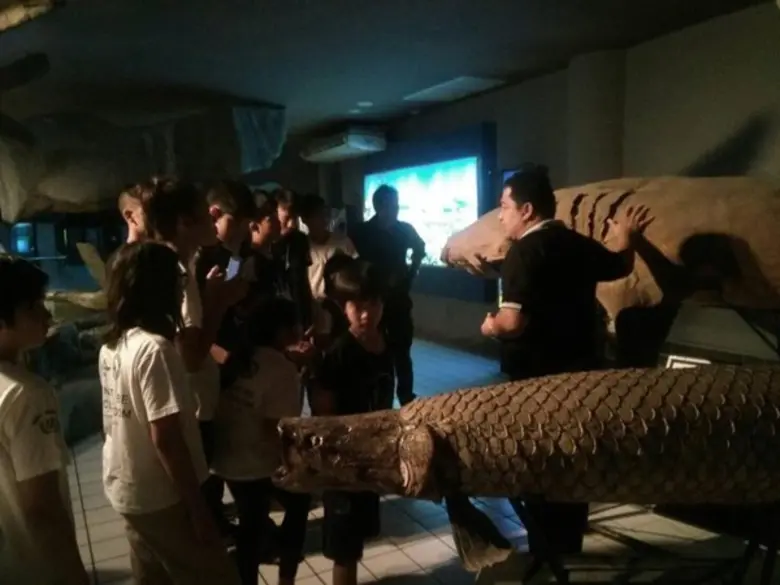 พิพิธภัณฑ์สัตว์น้ำตรังต้อนรับคณะ eecthailand