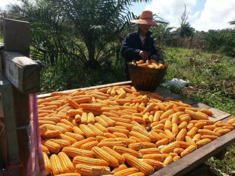 กระทรวงพาณิชย์หารือร่วมกับหน่วยงานรัฐที่เ...