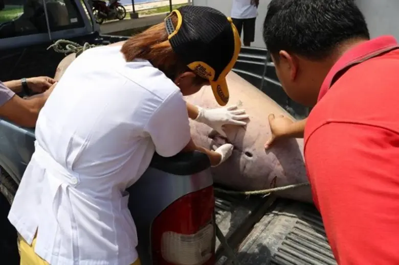 สพ.ญ.นัตติญา สังข์ศิริ นายสัตวแพทย์ นายสม...