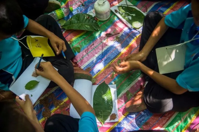 "ซัมซุง" หนุนโรงเรียนเครือข่ายเกิดโครงการ 'ฮักนะ...ป่าใหญ่’ ปลูกจิตสำนึกรักษ์ป่า ดันโครงการ 'ป่าชุมชน'