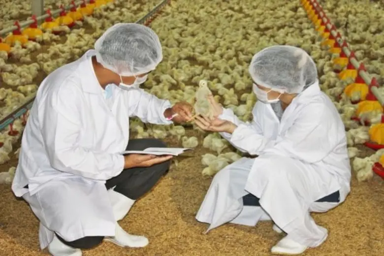 จากข่าวสารของกรมปศุสัตว์ กระทรวงเกษตรฯ แจ...