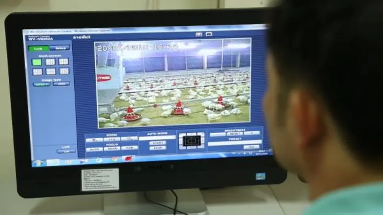 คอมพาร์ทเม้นท์ หลักการสำคัญป้องกันหวัดนก โดย น.สพ.พยุงศักดิ์ สมยานนทนากุล รองกรรมการผู้จัดการด้านมาตรฐานการผลิตสัตว์ปีก  บริษัท เจริญโภคภัณฑ์อาหาร จำกัด (มหาชน) หรือซีพีเอฟ