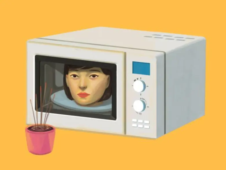 นิทรรศการศิลปะ “Made By Microwave” โดย กนิษฐรินทร์ ไทยแหลมทอง ณ แกลลอรี่ ชั้น 36 โรงแรมพูลแมน กรุงเทพ จี (สีลม) 4 มีนาคม – 21 พฤษภาคม 2560