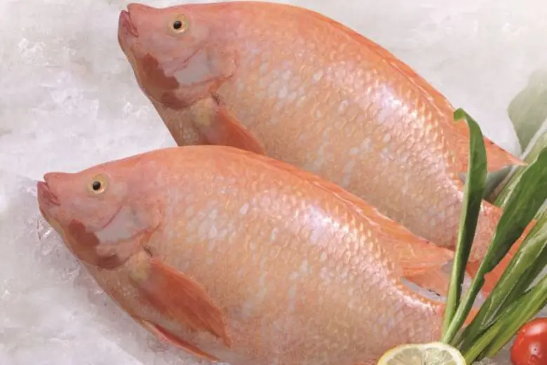 หมอแนะเคล็ดลับสร้างหุ่นสวยด้วยโปรตีน