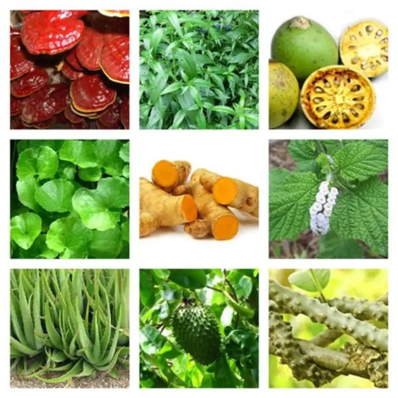 สมุนไพร ปลอดภัยเสมอ?