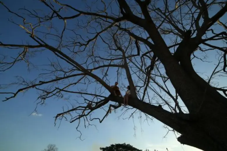 กำหนดฉาย 16 มี.ค. 60 แนวภาพยนตร์ ผี-ระทึกขวัญ บริษั...