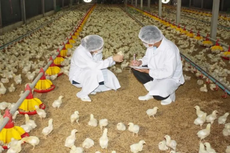 ซีพีเอฟ ได้มาตรฐาน QS จากเยอรมนี รายแรกของไทยและรายเดียวนอก EU  ตอกย้ำผู้นำการผลิตอาหารคุณภาพปลอดภัยระดับโลก ยิ้มรับออร์เดอร์ไก่เพิ่ม