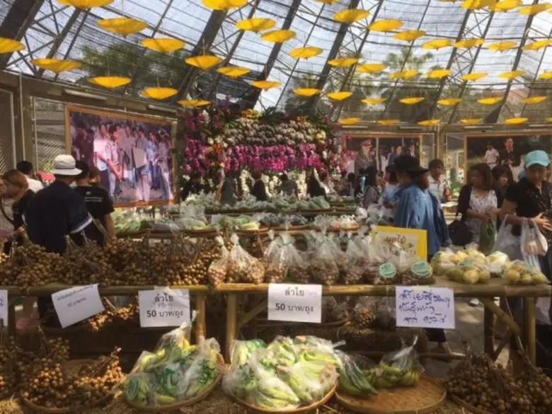 ศุกร์-เสาร์-อาทิตย์ ชีวิตมีสุข อยากมีสุขภาพดีเชิญมาที่ “กาดแม่โจ้ 2477”