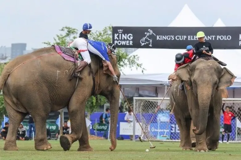 วันที่สามของการแข่งขันโปโลช้างชิงถ้วยพระราชทานสมเด็...