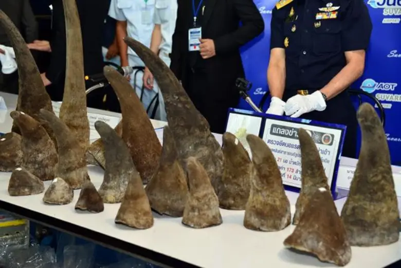 กรมศุลกากร สำนักงานตำรวจแห่งชาติ และกรมอุทยานแห่งชาติ สัตว์ป่า และพันธุ์พืช ตรวจยึดนอแรดลักลอบนำเข้าจาก สหพันธ์สาธารณรัฐประชาธิปไตยเอธิโอเปีย จำนวน 21 นอ น้ำหนักรวม 49.4 กิโลกรัม มูลค่า 173 ล้านบาท