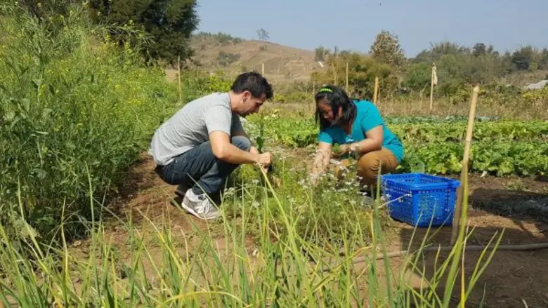 ทีวีไกด์: รายการ "หลงรักยิ้ม" ฝรั่ง 'แดเนียล’ ตะลึงข้าวหลามแปลก หนึ่งปีมีสามวันใน หลงรักยิ้ม