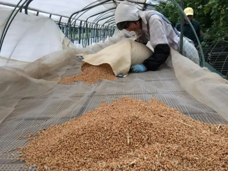 คณะวิทยาศาสตร์และเทคโนโลยี มหาวิทยาลัยธรรมศาสตร์ (ม...