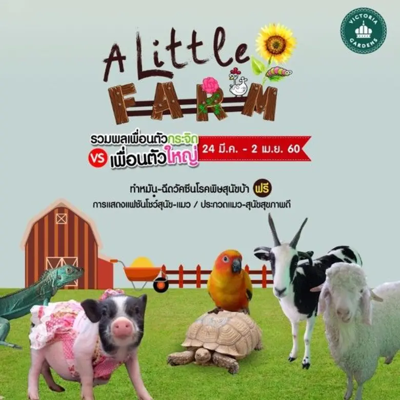 ศูนย์การค้าวิคตอเรีย การ์เด้นส์ เชิญชวนคุ...