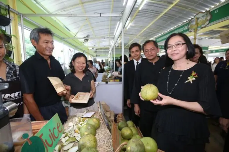 เปิดตลาดอินทรีย์เต็มรูปแบบ ณ อ.ต.ก. ย่านพหลโยธิน