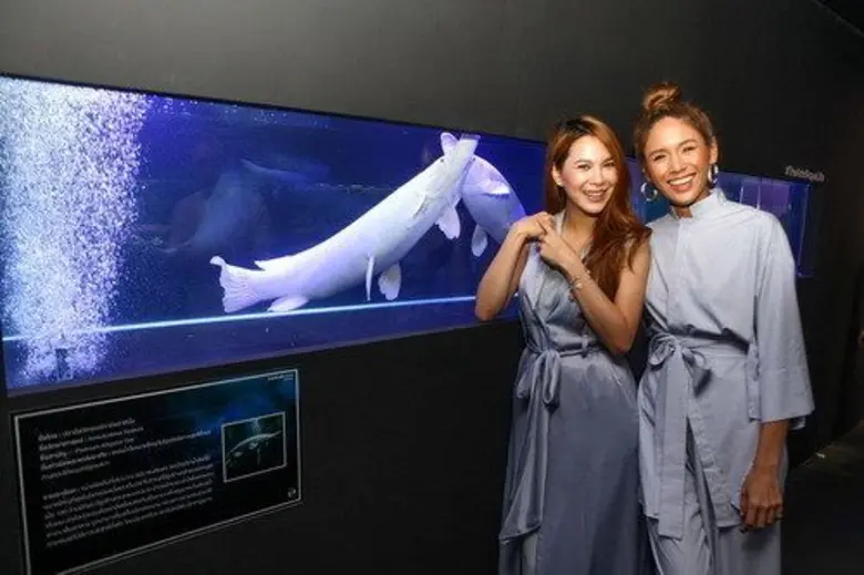 เก๋เก๋ทันสมัย "งานอาร์ท ออฟ อควาไลฟ์" นิท...