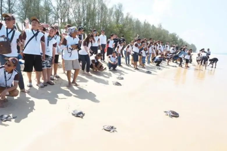 “ตู่ ภพธร” ต้อนรับผู้ร่วมทริป “ฟอร์จูนเนอร์ ทริป ซีรีส์” เส้นทางที่ 2 พังงา – ภูเก็ต กับมินิคอนเสิร์ตสุดเอ็กคลูซีฟริมชายหาด