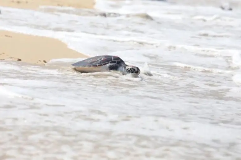“โตโยต้า ฟอร์จูนเนอร์” ตอกย้ำความสำเร็จกับกิจกรรม “ฟอร์จูนเนอร์ ทริป ซีรีส์” เส้นทางที่ 2 จังหวัดพังงา – ภูเก็ต