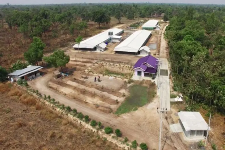 คอนแทรคฟาร์มหมู สร้างอาหารปลอดภัย กับอาชีพที่ไร้ความเสี่ยง