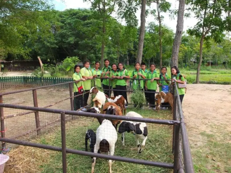 แพร พิมพ์ลดา ไชยปรีชาวิทย์ และ หนองโพ…The...