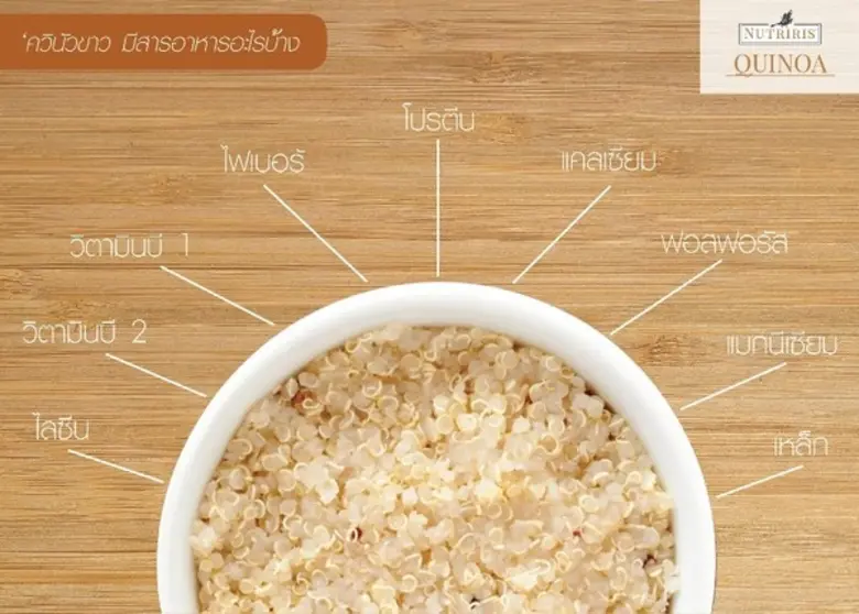 บริษัท ไบโอพาแน็ค ดีเวลลอปเมนท์ (ประเทศไทย) จำกัด ผ...