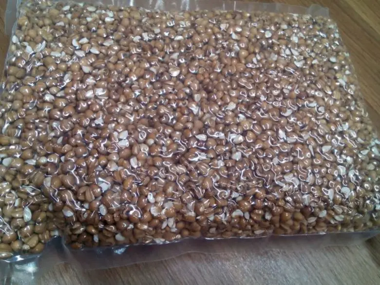 “ม้ามชื้น” รักษาได้ด้วยการนวดท้อง และฝังเข็มแบบจีน