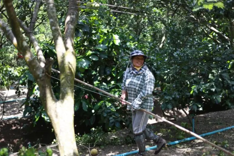 ด้วยระบบการศึกษาในปัจจุบันที่มุ่งไปที่การ...