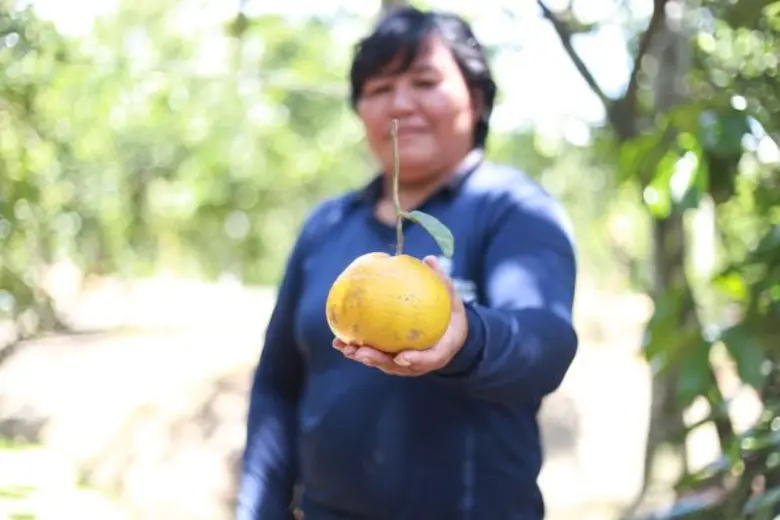 ฟื้นชีวิต “ส้มแก้ว” ให้ “STRONG” มูลนิธิสยามกัมมาจล
