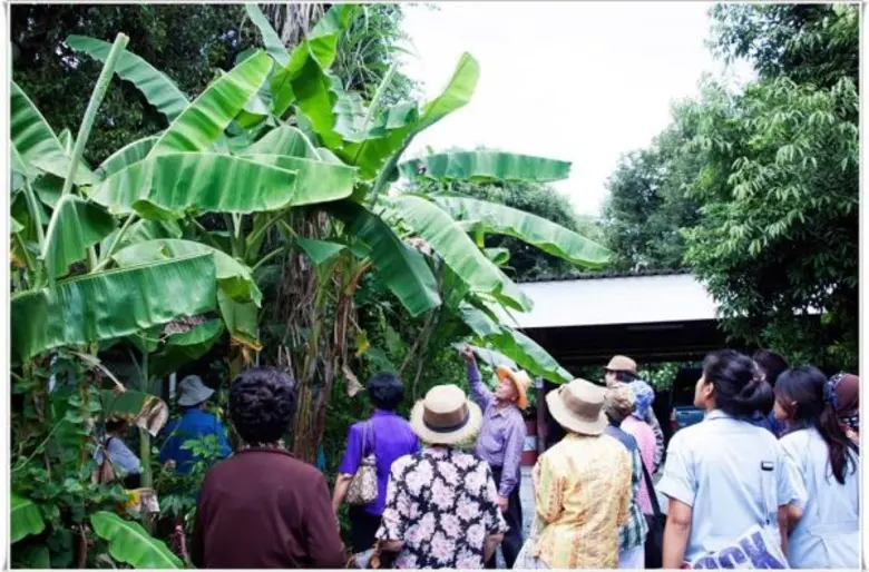 แพร พิมพ์ลดา ไชยปรีชาวิทย์ และ หนองโพ…The...