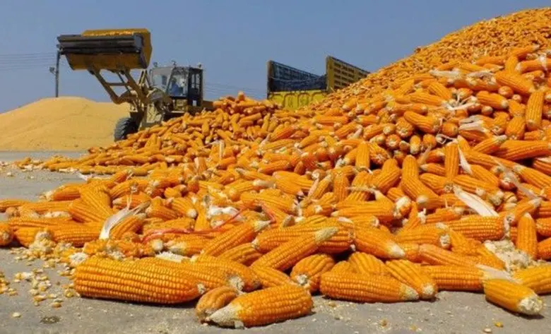 จากนโยบายของ พลเอกฉัตรชัย สาริกัลยะ รัฐมน...