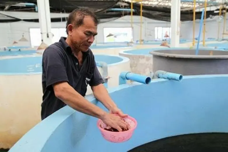 ปัจจุบันนโยบายและแผนการพัฒนาประเทศไทยได้ใ...