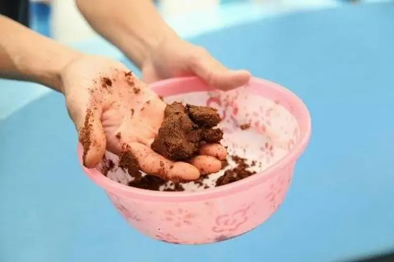 ประมงเจ๋ง ผุดโครงการ “ ธนาคารปลาหลด” เร่งเพาะขยายพันธุ์หลังพบน้อยในธรรมชาติ แต่ตลาดกลับต้องการแถมบางฤดูราคาสูง