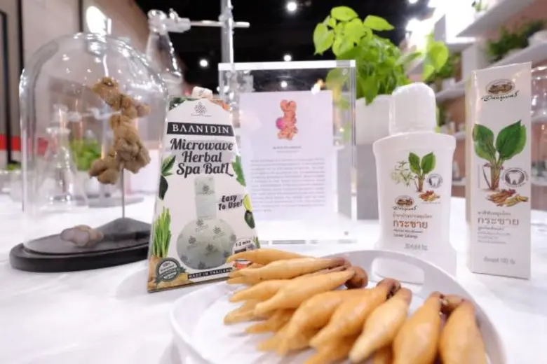 “Thai Herbs” ชูสมุนไพรแชมเปี้ยนส์ของไทย จุดประกายความคิดต่อยอดธุรกิจ ในงาน BIG+BIH 2017