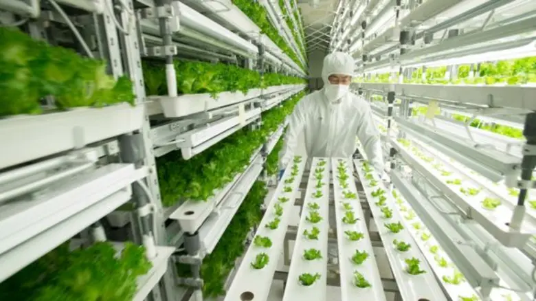 โครงการเกษตรกรรมอัจฉริยะในเขตอิวาตะ เกิดจ...