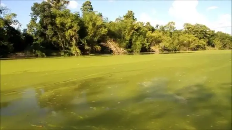 กรมฝนหลวงฯ วางแผนปฏิบัติการแก้ไขปัญหา “สาหร่ายบูม” พื้นที่เขื่อนลำโดมใหญ่ จังหวัดอุบลราชธานี