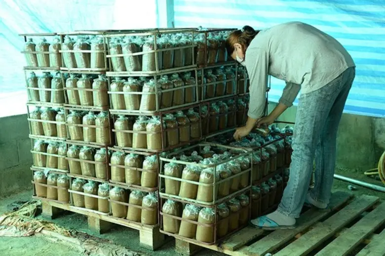 กฟก.ทุ่มงบกว่า 36 ล. ดันเกษตรกรสมาชิกให้เข้มแข็ง