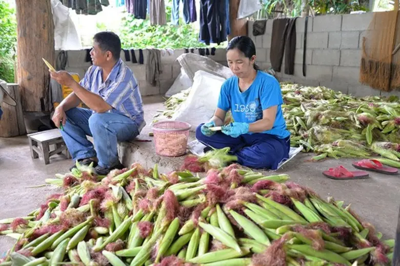 กฟก.ทุ่มงบกว่า 36 ล. ดันเกษตรกรสมาชิกให้เข้มแข็ง