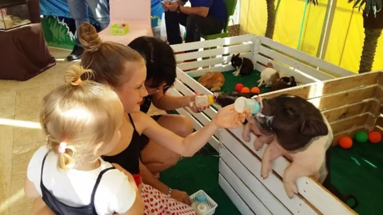 กลับมาอีกครั้ง ! เทศการอีสเตอร์ที่รอยัล คลิฟพัทยา กับธีม “อลิซในดินแดนมหัศจรรย์”