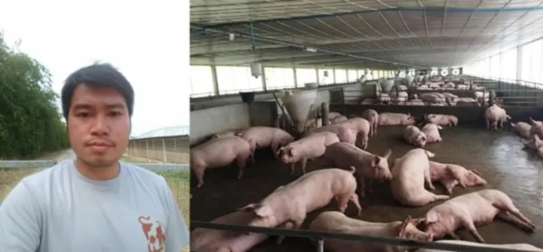 เกษตรกรเลี้ยงหมูยุค 4.0 ใช้เทคโนโลยีสร้างมาตรฐานการผลิต